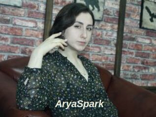 AryaSpark